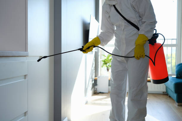 Best Attic Mold Remediation in Fowlkes, TN