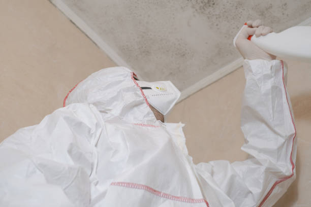 Best HVAC Mold Remediation in Fowlkes, TN